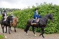 Kurfuerst   096
